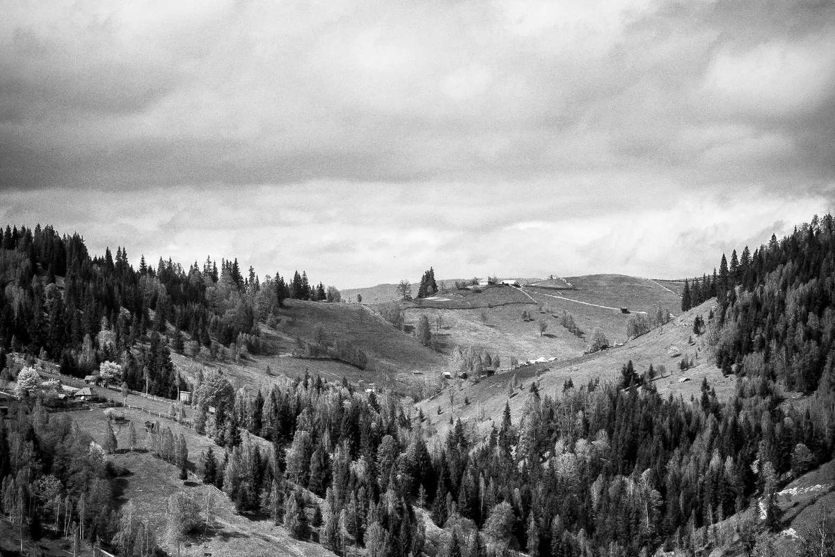 Komitmen Reformasi dan Stabilitas Ekonomi, Presiden Prabowo Perkuat Daya Tarik Investasi bagi Investor – Kementerian Sekretariat Negara