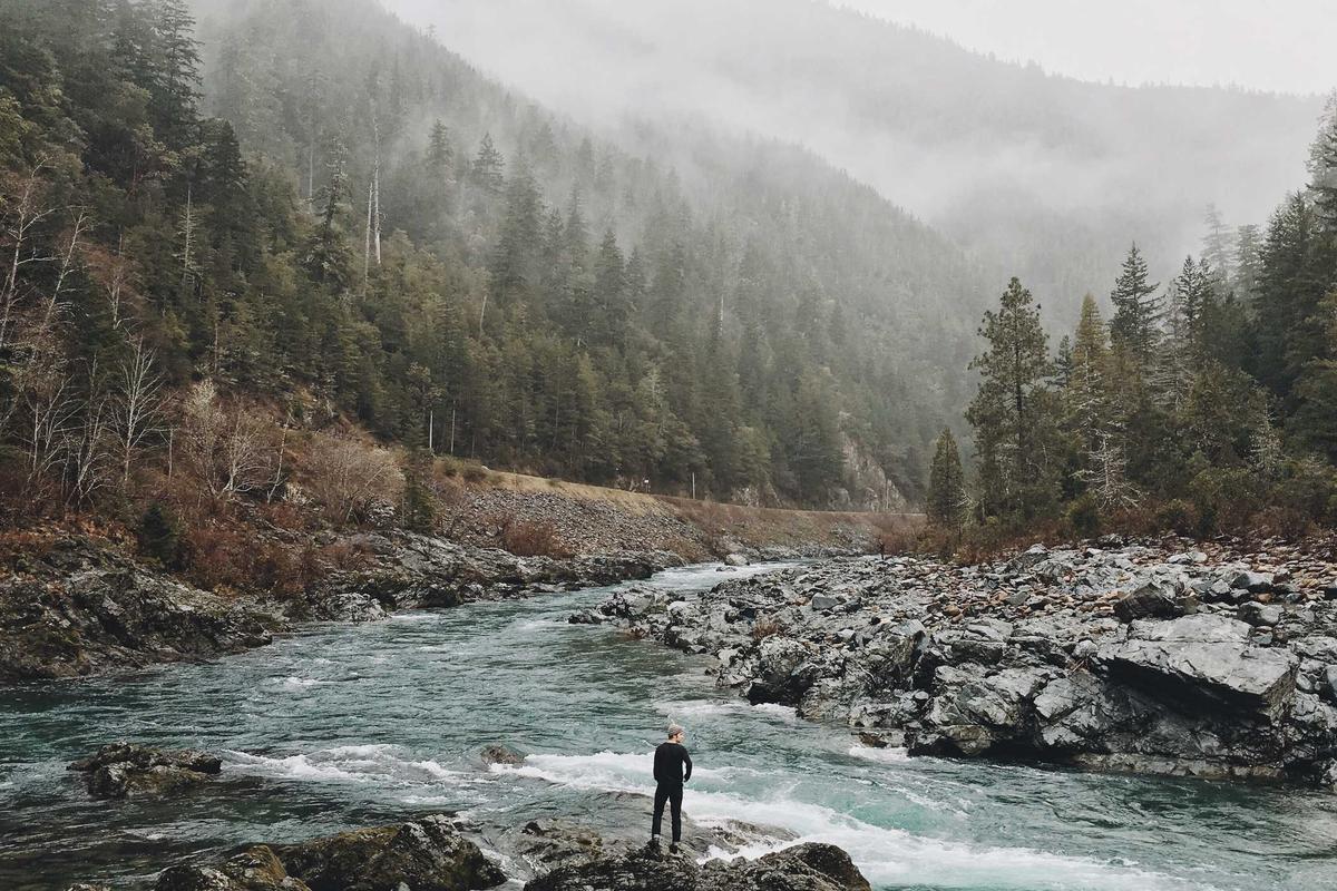 Komitmen Reformasi dan Stabilitas Ekonomi, Presiden Prabowo Perkuat Daya Tarik Investasi dan Kepercayaan bagi Investor – Presiden RI