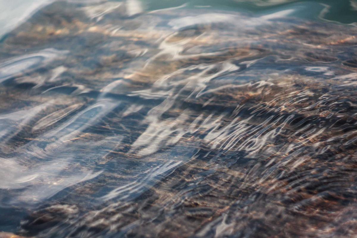 RI-AS Bentuk Dewan Perdagangan & Investasi, Apa Keuntungannya? – detikFinance