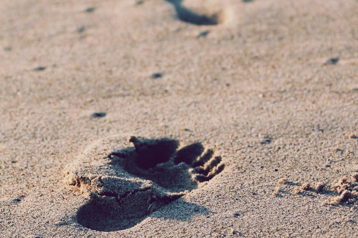 Misbakhun Respons Economic Outlook 2026: RI Butuh Investasi Berdampak Nyata – news.detik.com