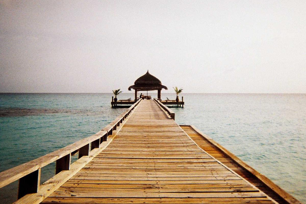 Presiden Prabowo Terima 12 CEO Global di Washington DC, Perkuat Kemitraan Investasi Strategis – Sekretariat Negara