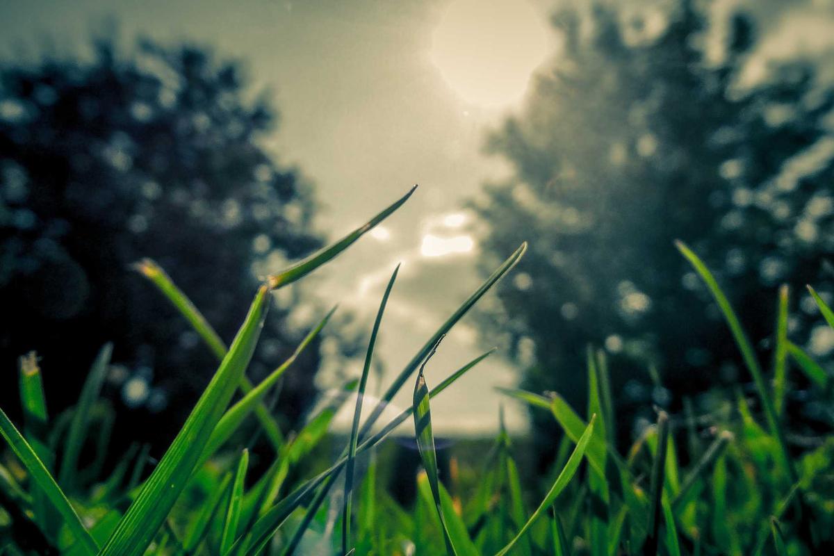 Video: Investasi Jumbo PMI: Bangun Pabrik, Lab & Berdayakan Ribuan SDM – CNBC Indonesia