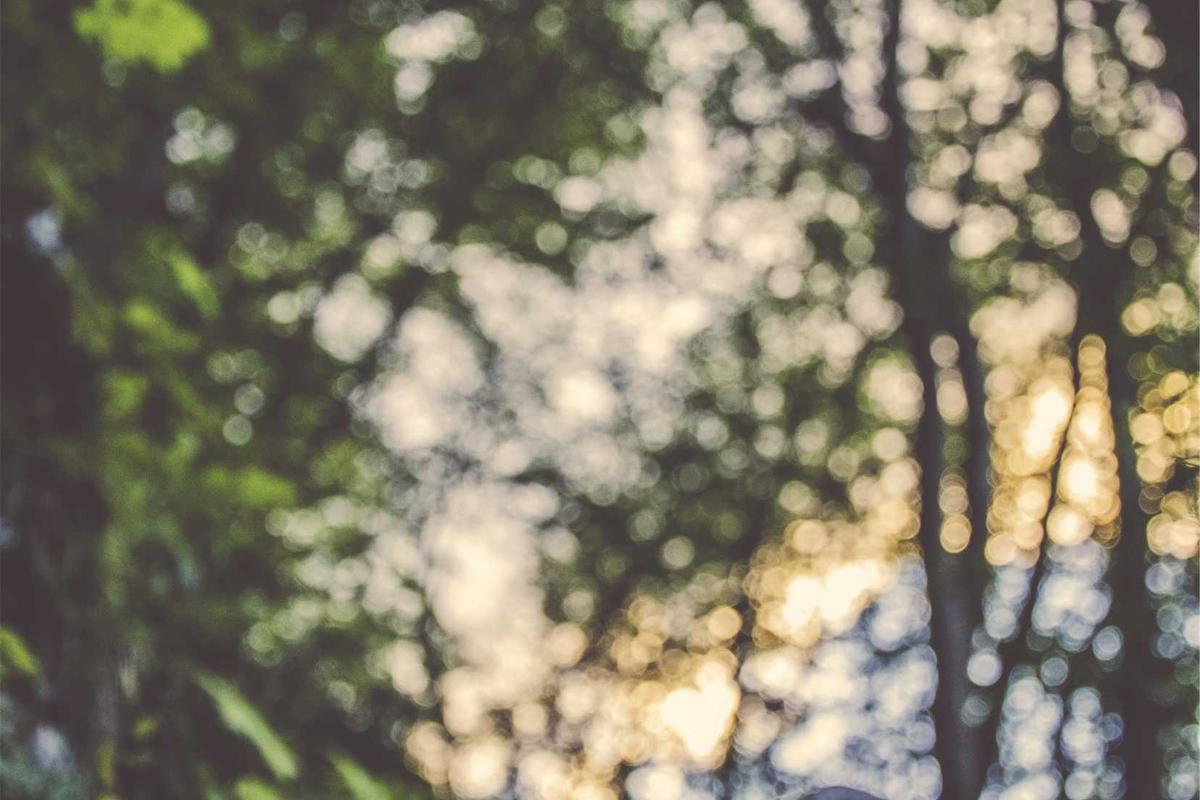 Video: Investasi Jumbo PMI: Bangun Pabrik, Lab & Berdayakan Ribuan SDM – CNBC Indonesia