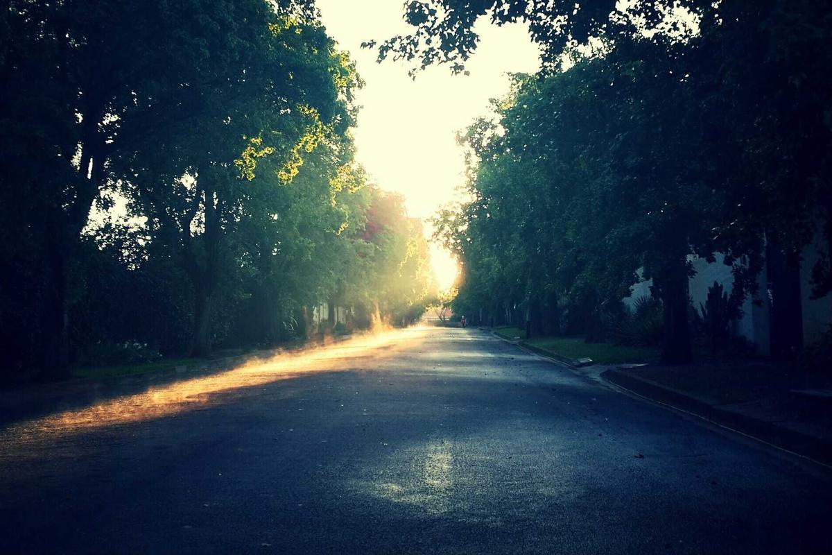 OPINI: Perang Investasi Energi dan Masa Depan Kalimantan Tengah Indonesia Butuh Magnet Investasi Baru dari Bumi Tambun Bungai » Berita energi & Minerba Hari Ini – Ruang Energi