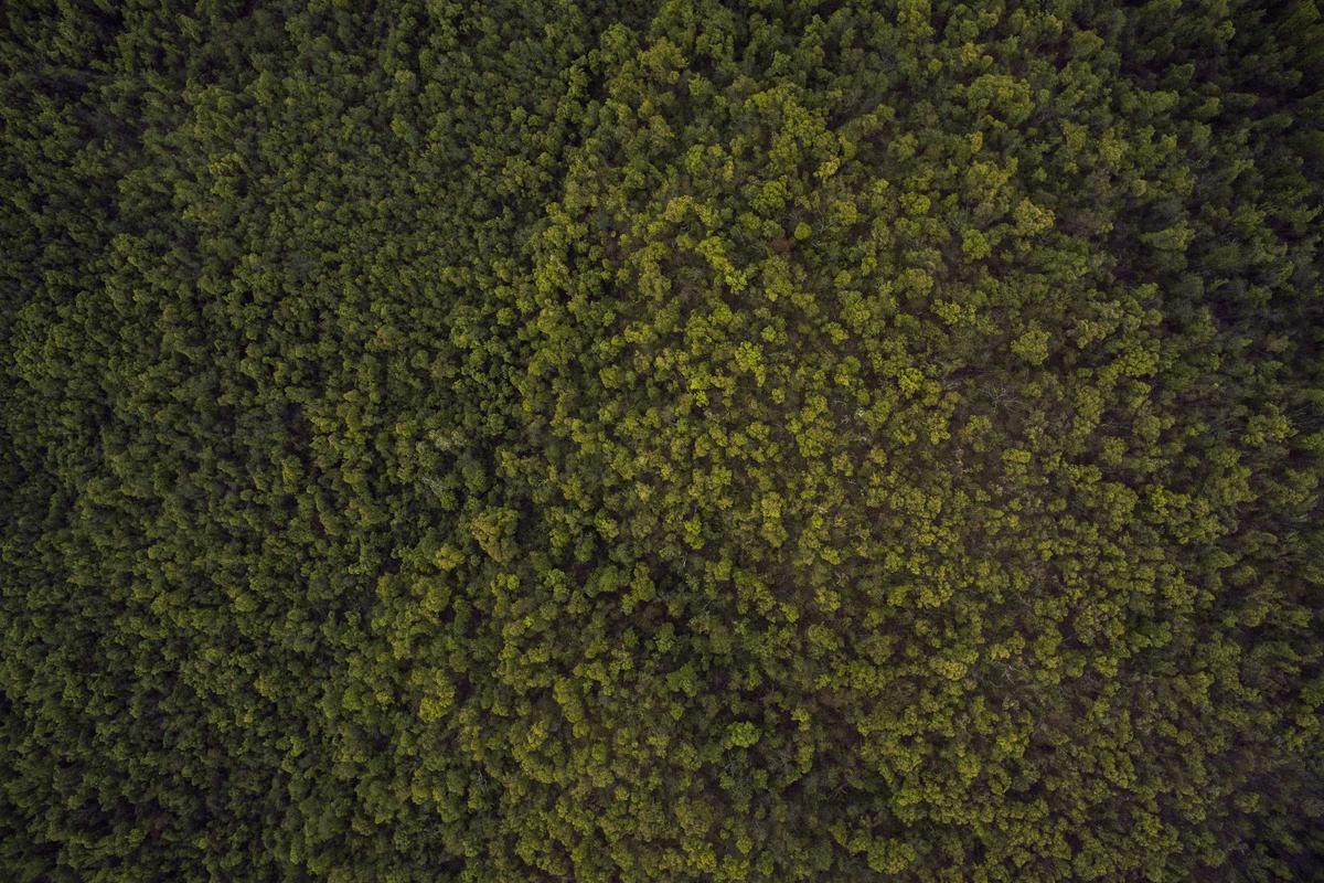 Kupas Tuntas Potensi & Arah Pasar Modal RI di Market Outlook 2026 – CNBC Indonesia