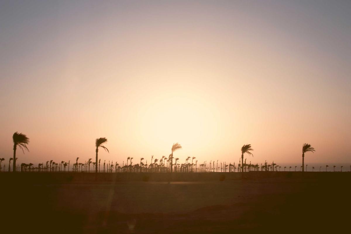 Rosan Klaim Konflik AS-Iran Bawa Peluang Investasi ke RI – Bloomberg Technoz