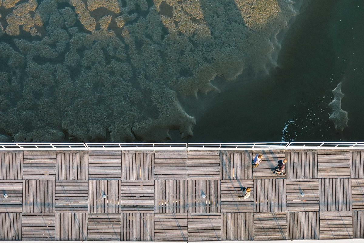 Fitch soroti MBG, Airlangga: Program ini investasi jangka panjang – ANTARA News