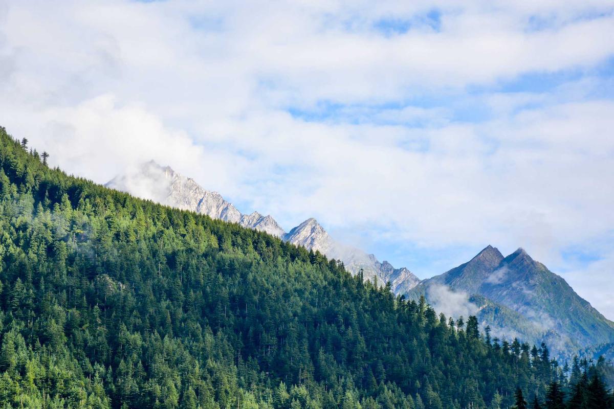 Kanada Lirik Investasi di Jateng, Gubernur Luthfi Tawarkan Sektor Pertanian dan Kesehatan – Kompas.com