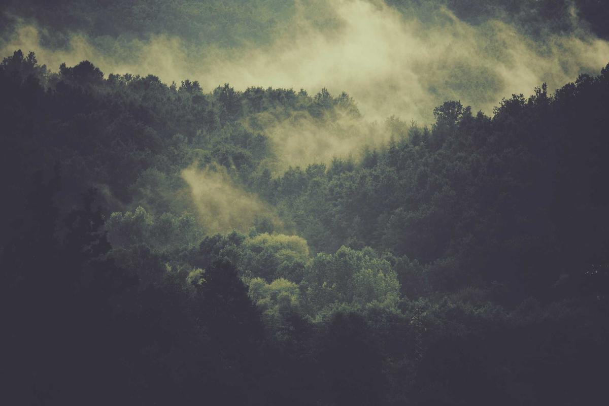 Video:Jurus RI Tarik Investasi & Perluas Ekspor Saat Perang Berkecamuk – CNBC Indonesia